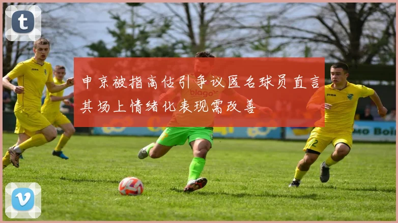 申京被指高估引争议匿名球员直言其场上情绪化表现需改善