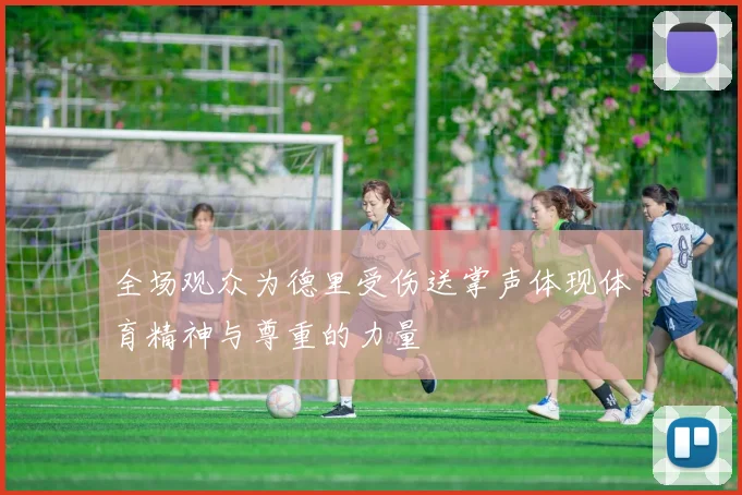 全场观众为德里受伤送掌声体现体育精神与尊重的力量